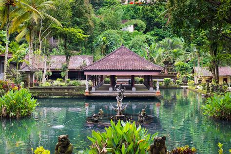 Dive Deep into Bali's Magic Gills